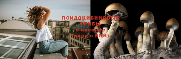 ECSTASY Арсеньев