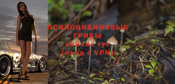 гашик Аркадак