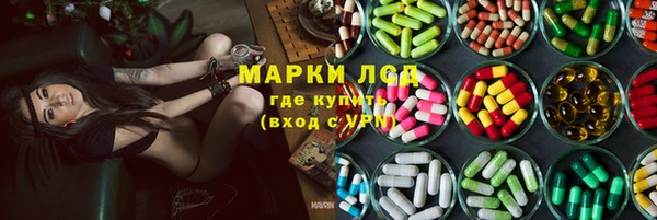 гашик Аркадак