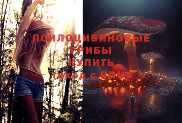 ECSTASY Арсеньев