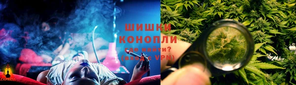 гашик Аркадак