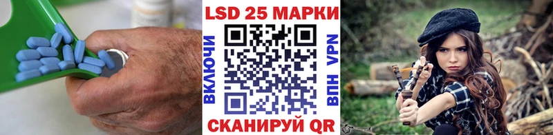 LSD-25 экстази кислота  МЕГА как войти  Судогда 