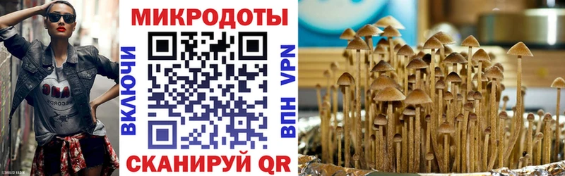 где купить   Судогда  Галлюциногенные грибы GOLDEN TEACHER 